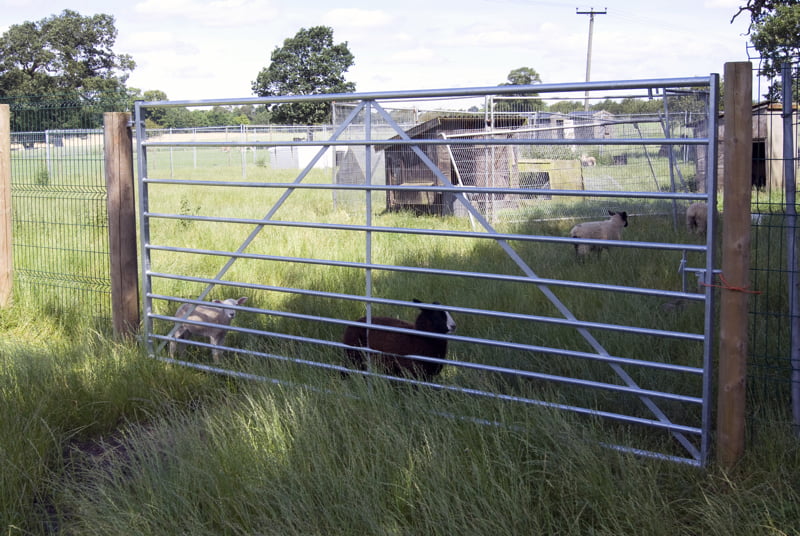 Field Gates